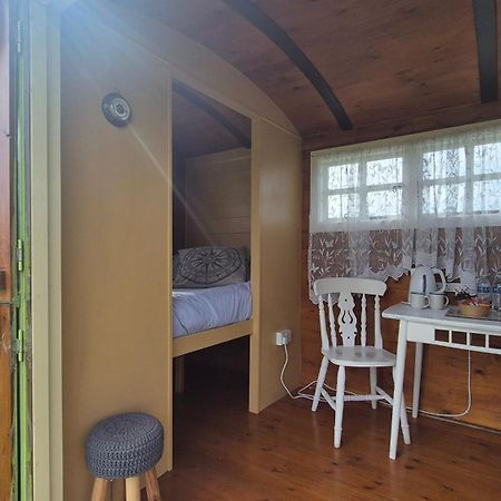 Coast Path Camping Saint Ishmaels  Екстер'єр фото
