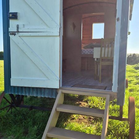 Coast Path Camping Saint Ishmaels  Екстер'єр фото