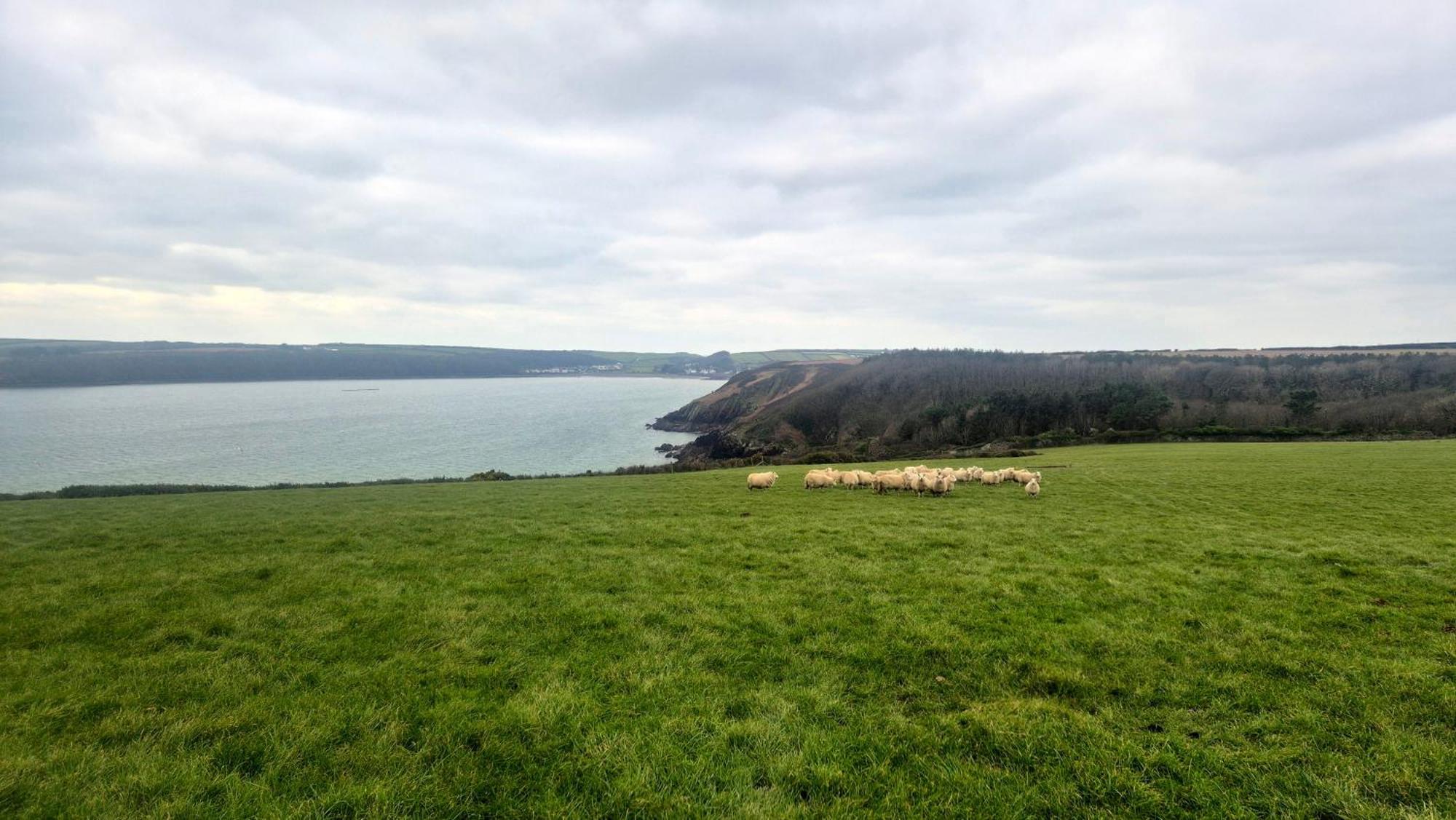 Coast Path Camping Saint Ishmaels  Екстер'єр фото